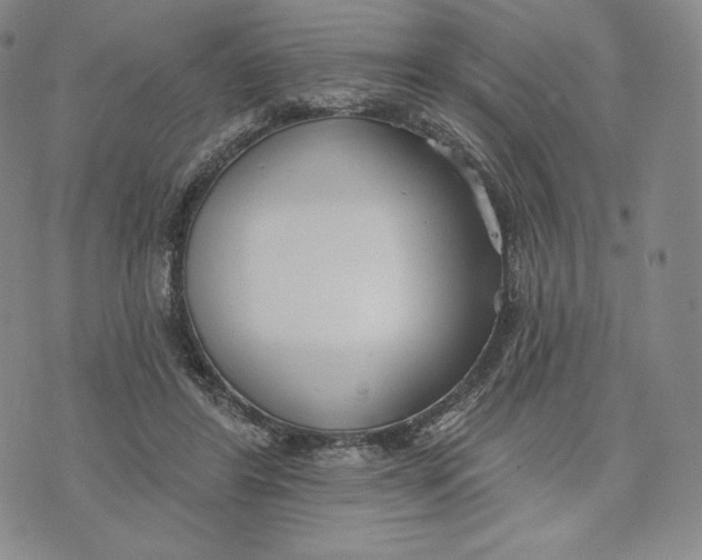 X0000072490404200608041421