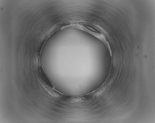 X0000072490405200608041421