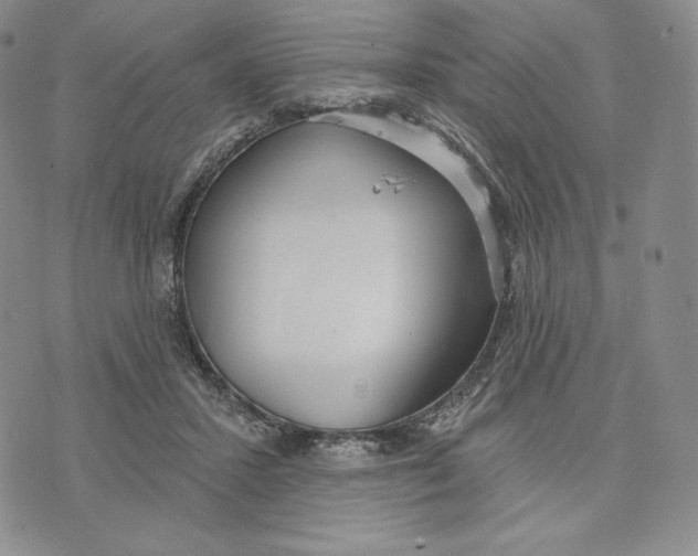 X0000072490407200608041421