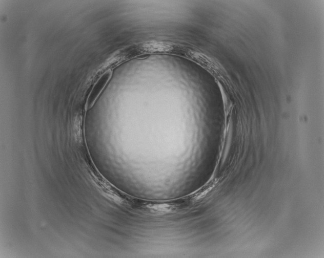 X0000072490409200608041421