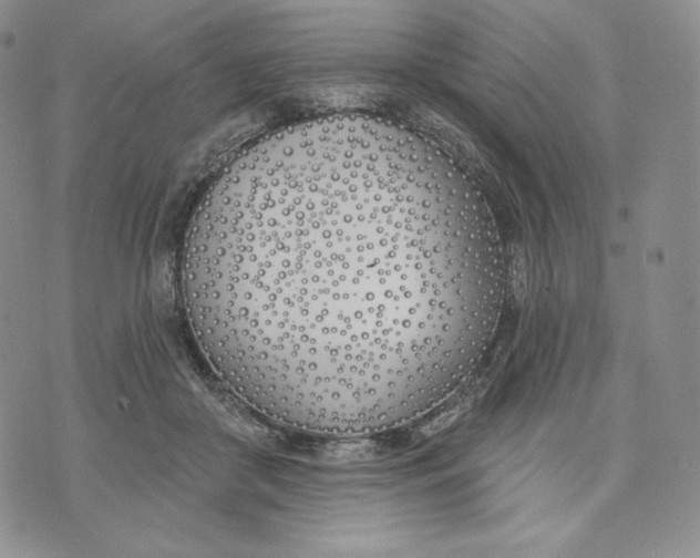 X0000072490410200608041421