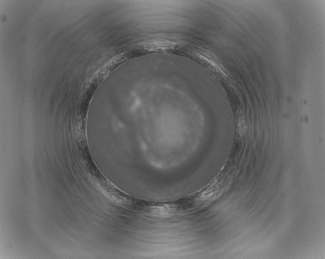 X0000072490411200608041421