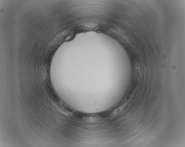 X0000072490412200608041421