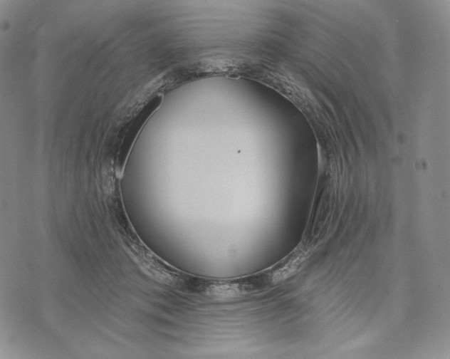 X0000072490413200608041421