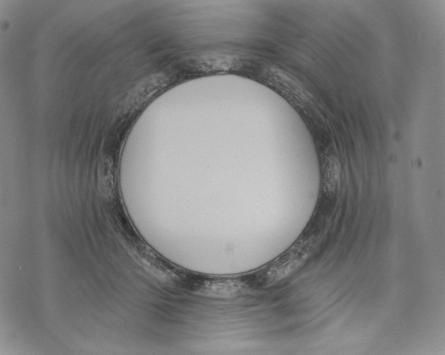 X0000072490414200608041421