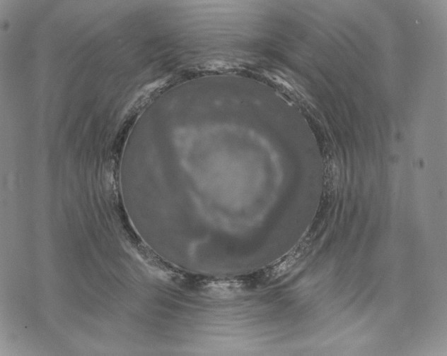 X0000072490415200608041421