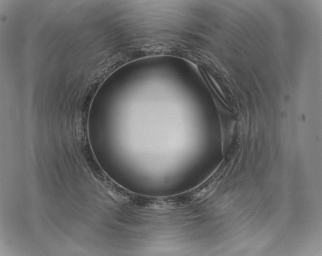 X0000072490416200608041421