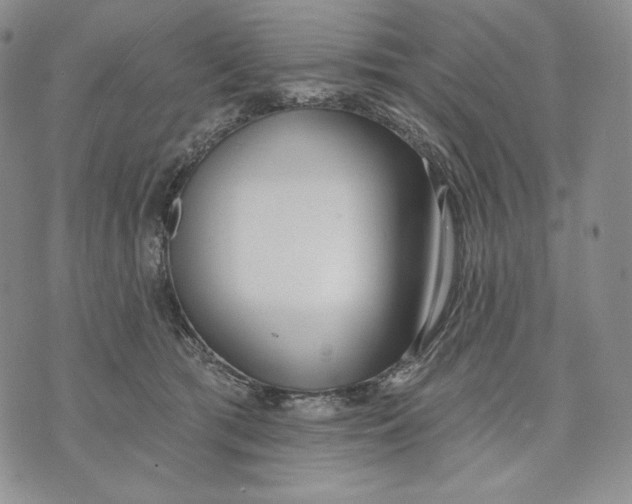 X0000072490417200608041421