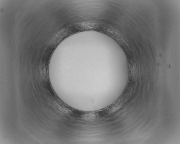 X0000072490418200608041421