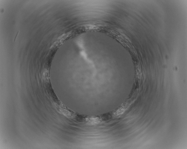 X0000072490419200608041421