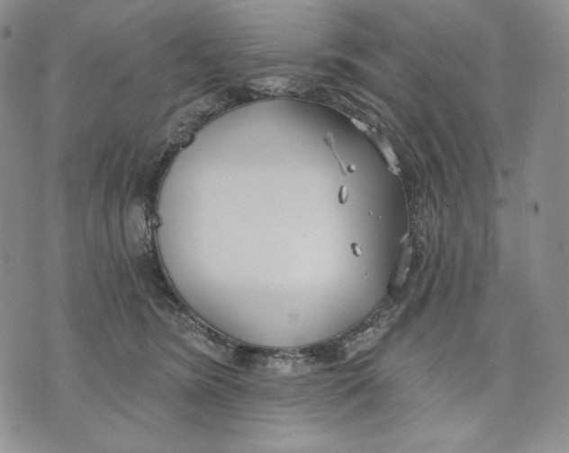 X0000072490420200608041421