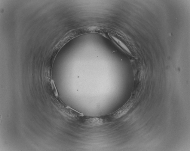 X0000072490421200608041421