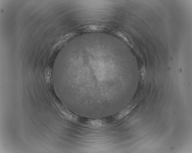 X0000072490423200608041421