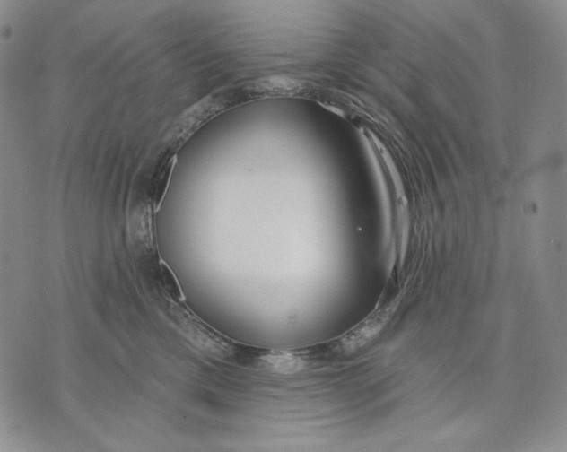 X0000072490425200608041421