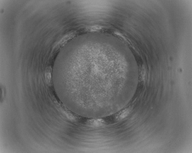 X0000072490427200608041421