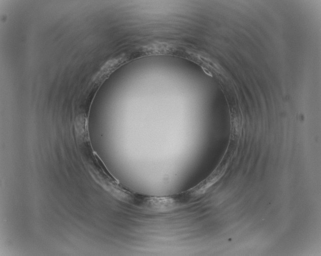 X0000072490429200608041421