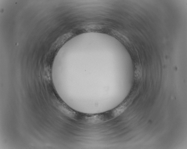 X0000072490430200608041421