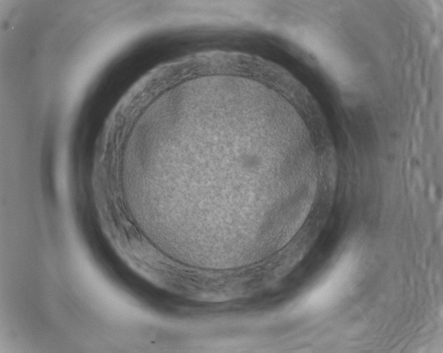 X0000072490431200608041421