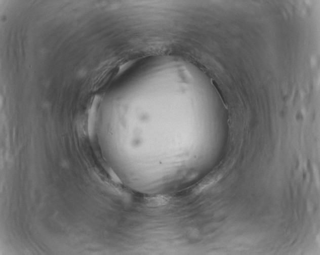 X0000072490432200608041421