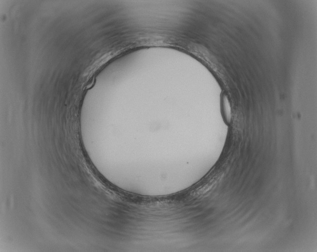 X0000072490433200608041420