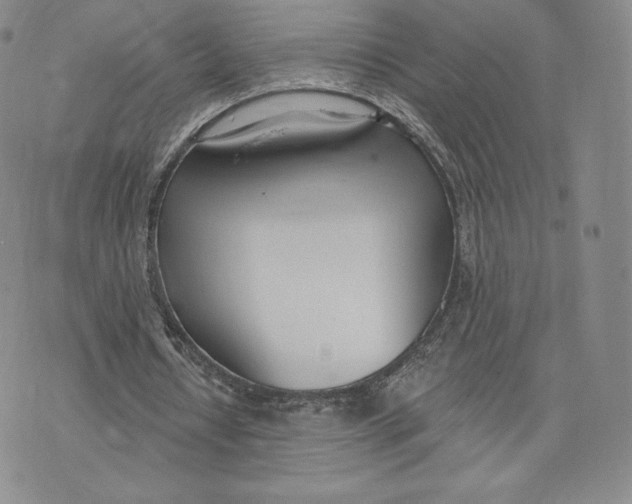 X0000072490434200608041420