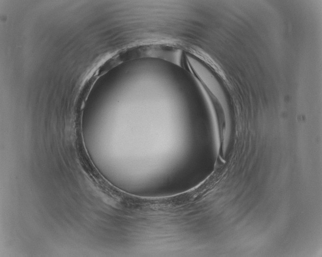 X0000072490436200608041420