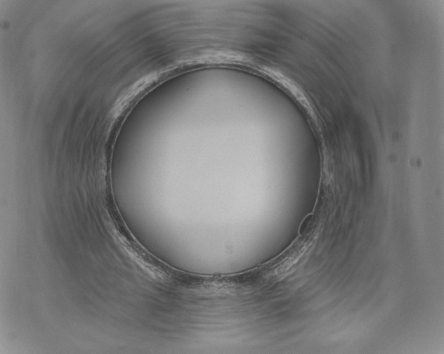 X0000072490437200608041420