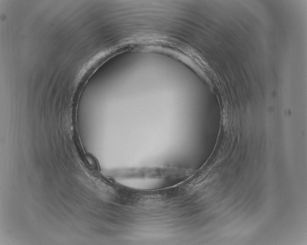 X0000072490438200608041420