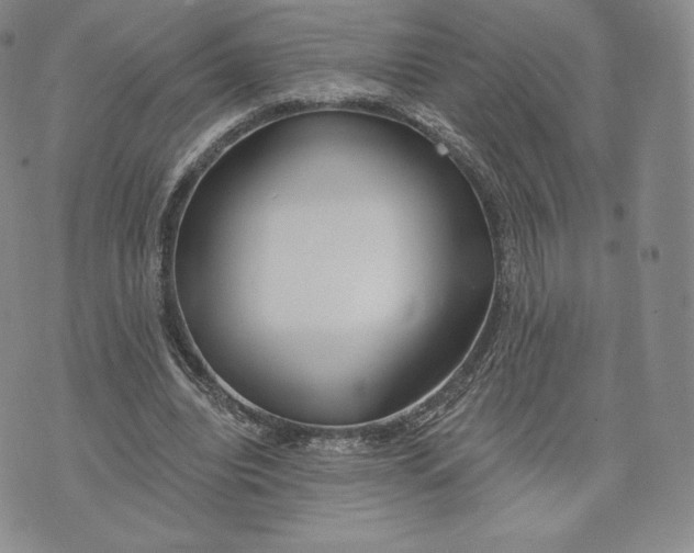 X0000072490440200608041420