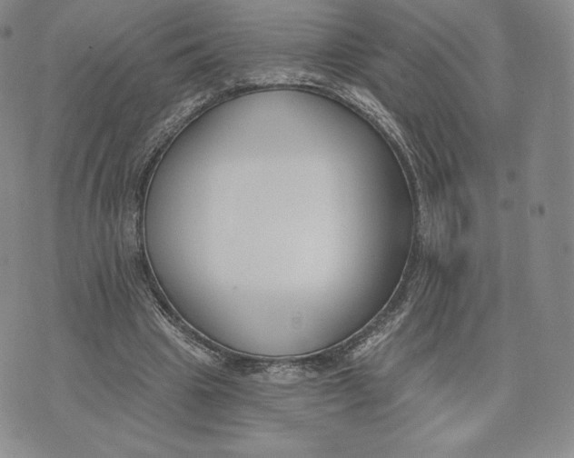 X0000072490441200608041420