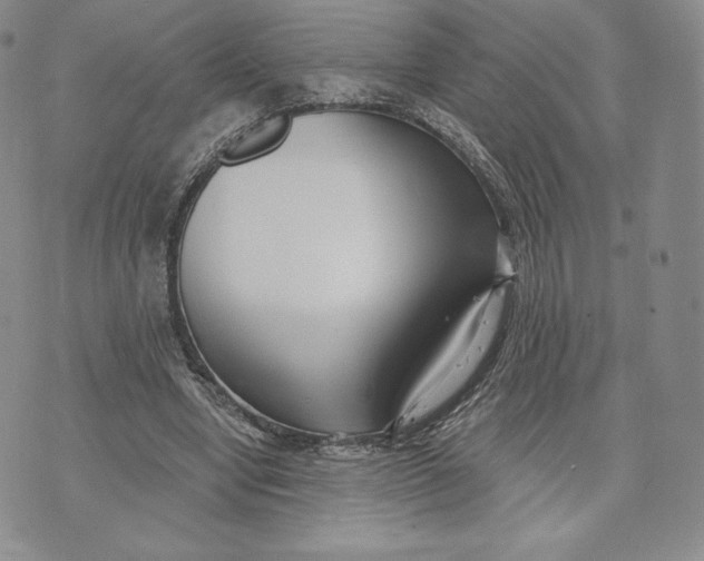 X0000072490442200608041420