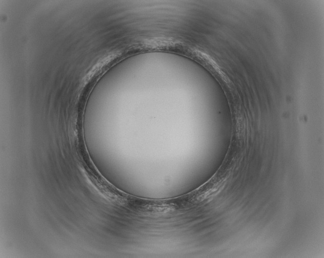 X0000072490443200608041420