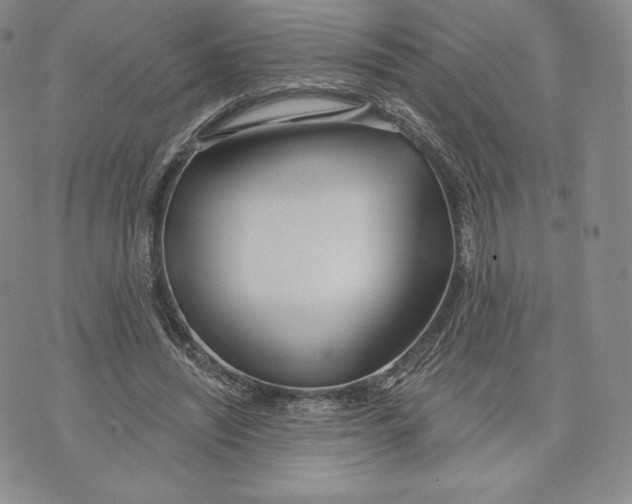 X0000072490444200608041420