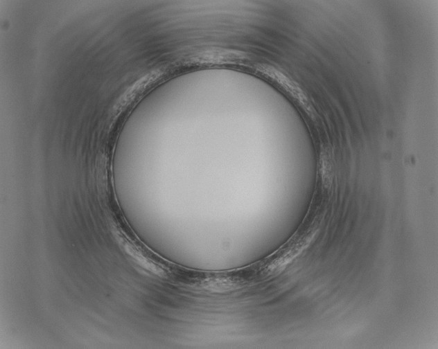 X0000072490445200608041420