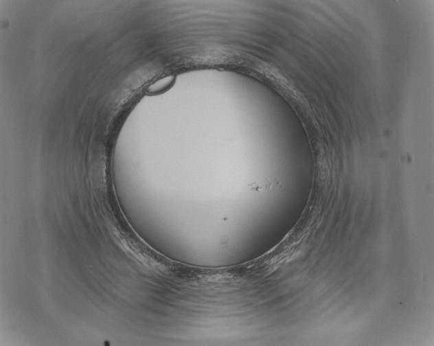 X0000072490446200608041420