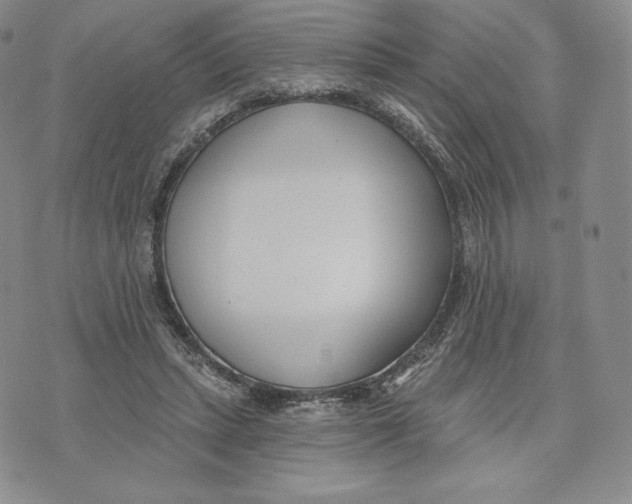 X0000072490447200608041420