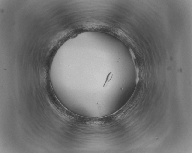 X0000072490448200608041420