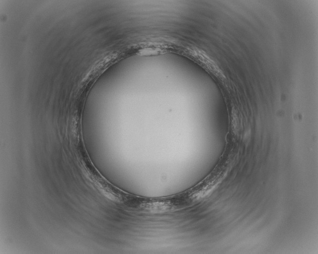 X0000072490449200608041420