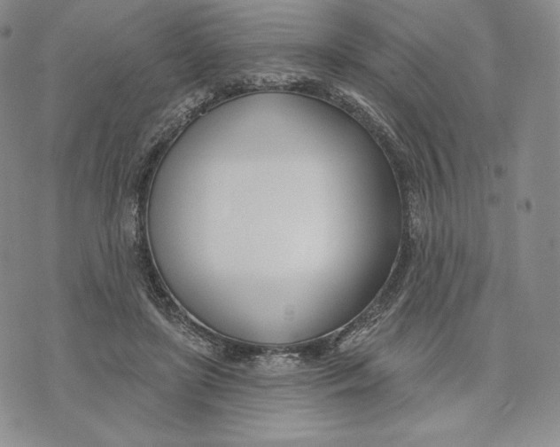 X0000072490451200608041420