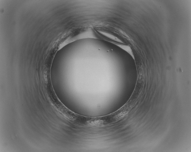 X0000072490452200608041420