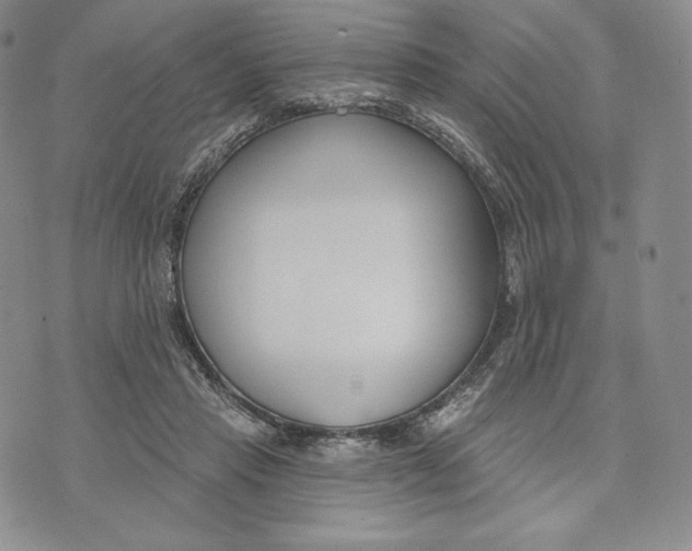 X0000072490453200608041420