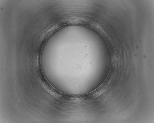 X0000072490454200608041420