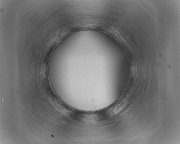 X0000072490458200608041420