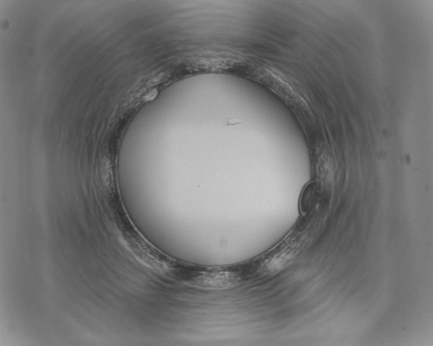 X0000072490459200608041420