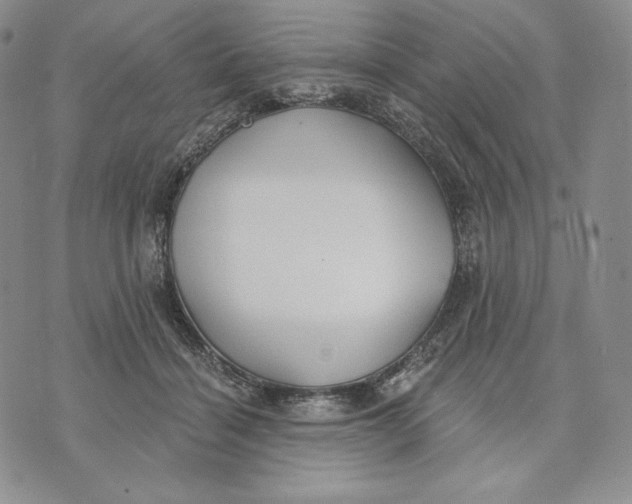 X0000072490460200608041420