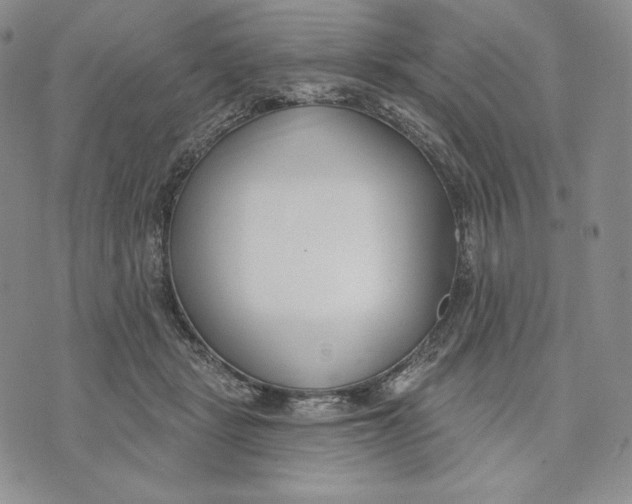 X0000072490461200608041420