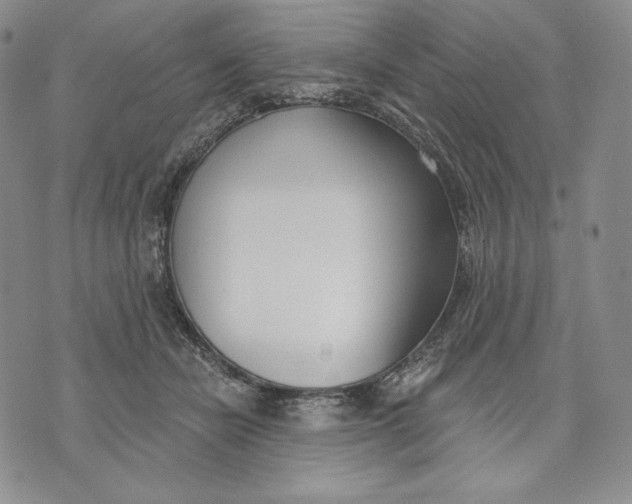 X0000072490462200608041420