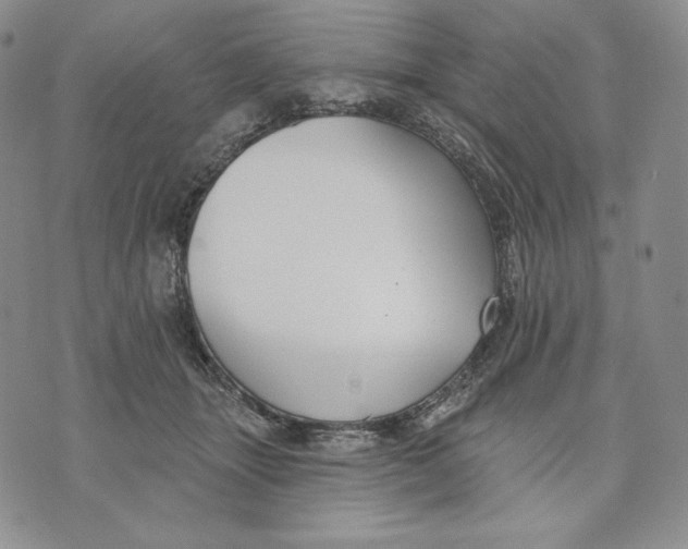 X0000072490463200608041420