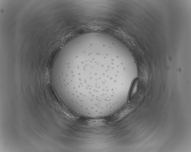 X0000072490465200608041420