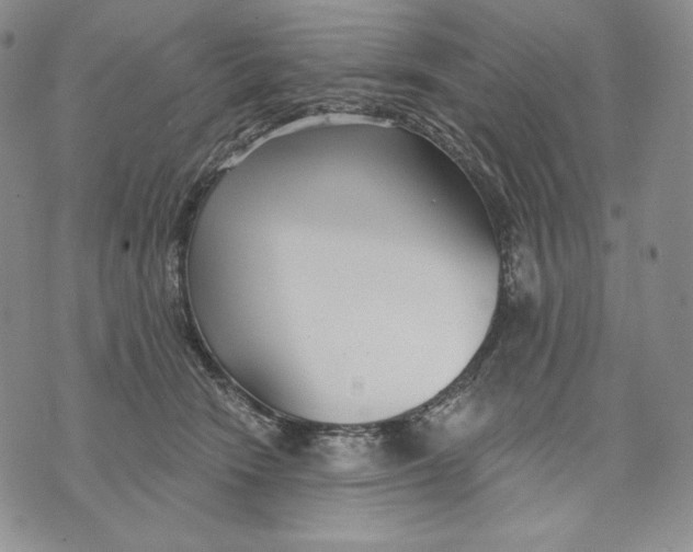 X0000072490466200608041420